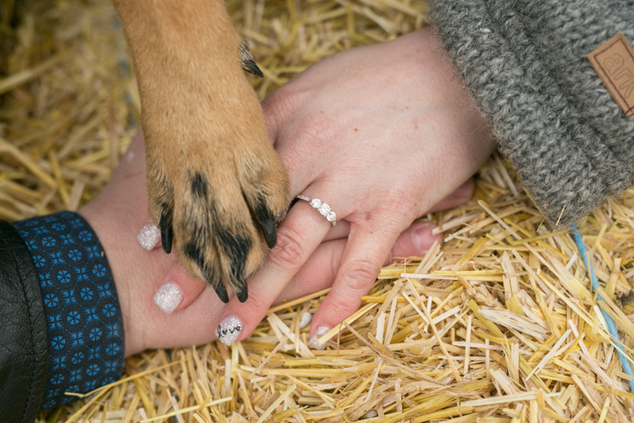 engagement photo of couples hands with dog paw and diamond ring