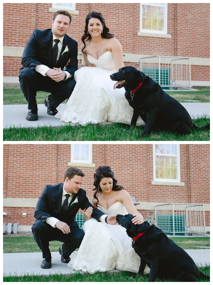 photo of newlywed couple and their black dog