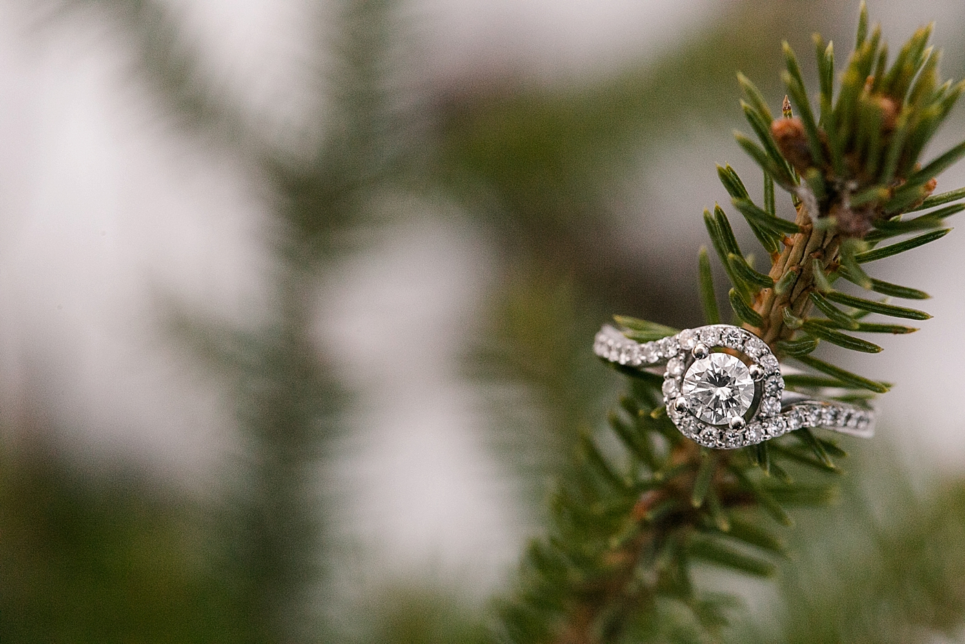 diamond ring on evergreen tree winter engagement
