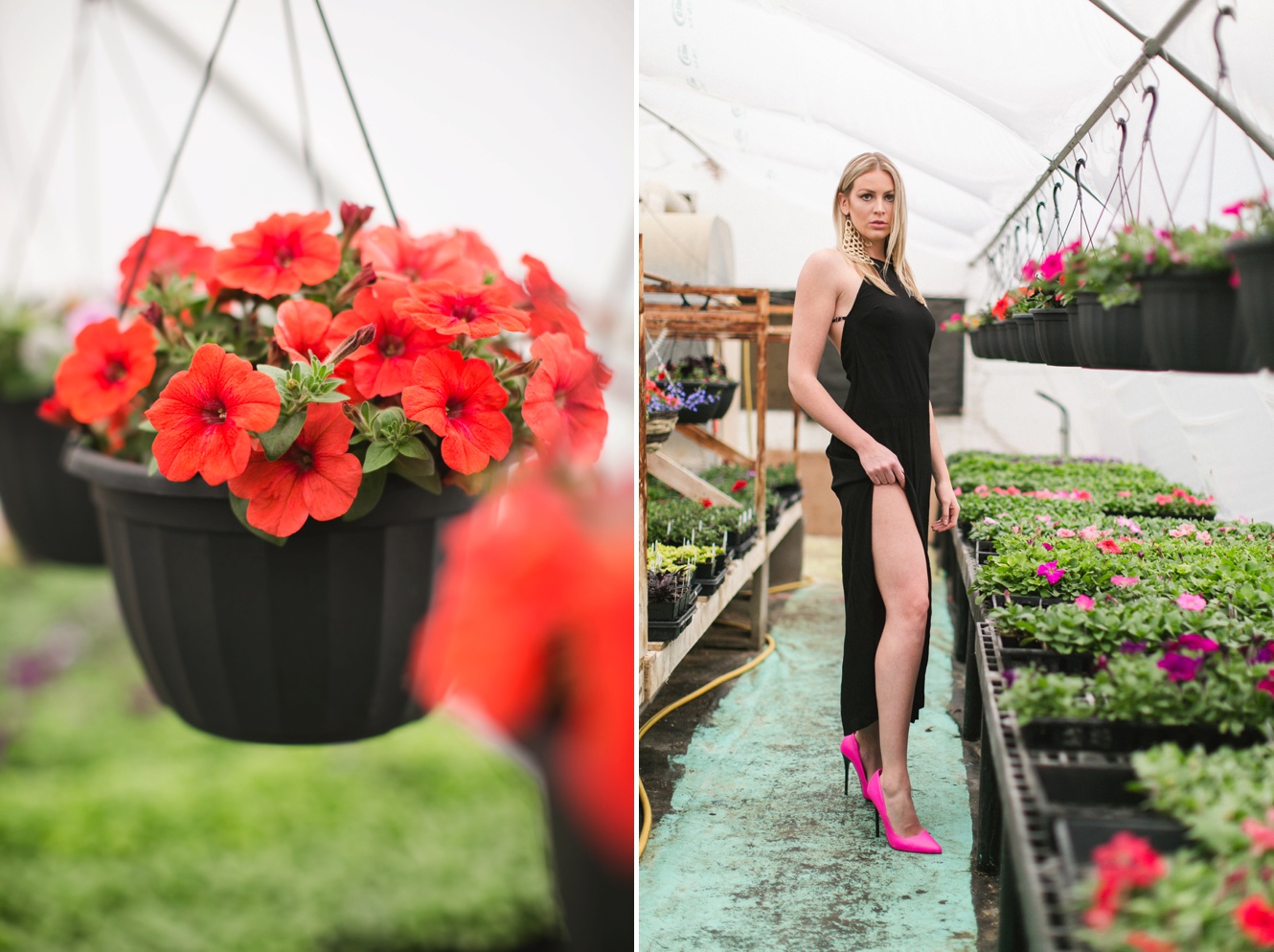 Givenchy inspired fashion photo shoot among petunia flowers in a greenhouse