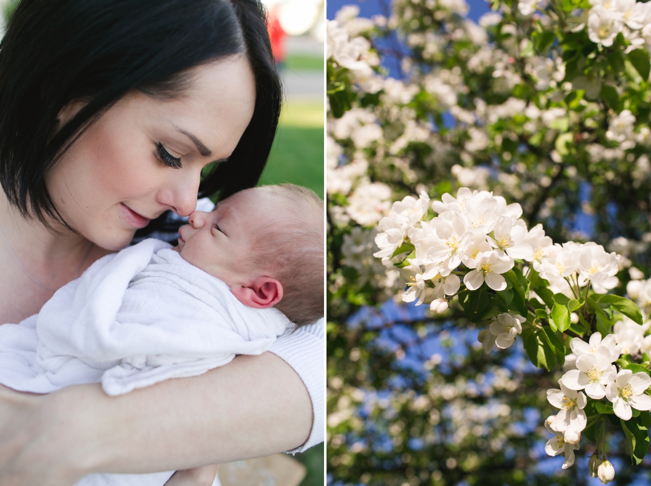 newborn baby boy photo and cherry blossom trees