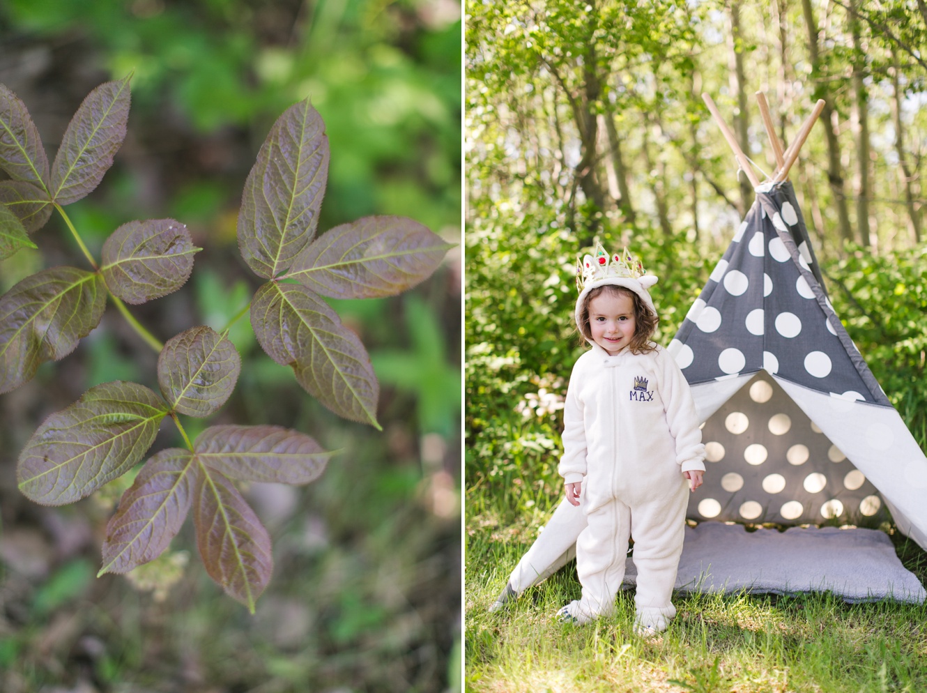 where the wild things are book inspired children's photo shoot with tent photo