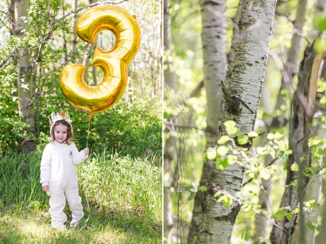 Estevan three year old birthday photo session with gold balloon