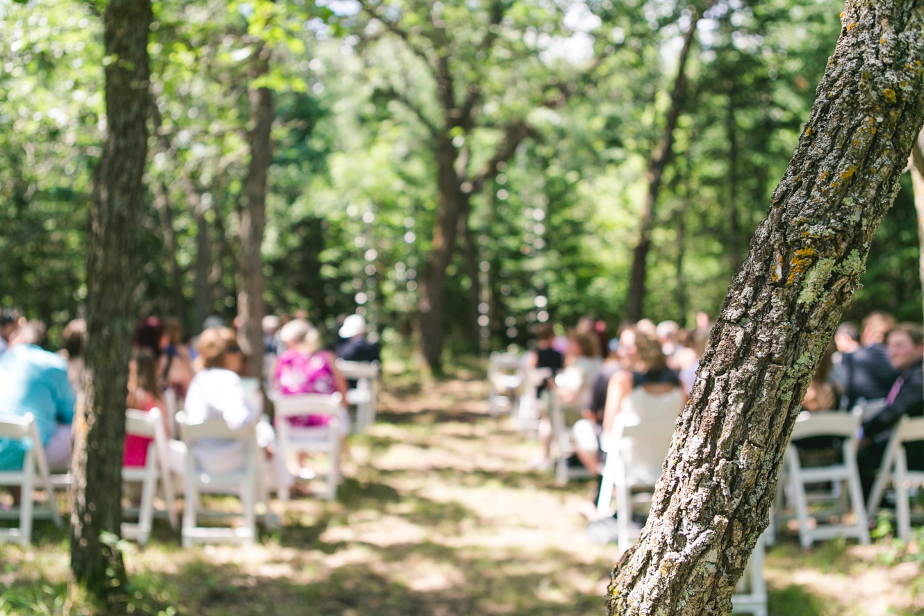 tree in the woods wedding altar photo
