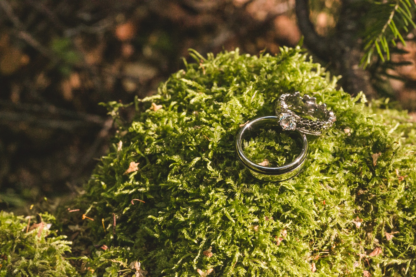 diamond ring in moss photo
