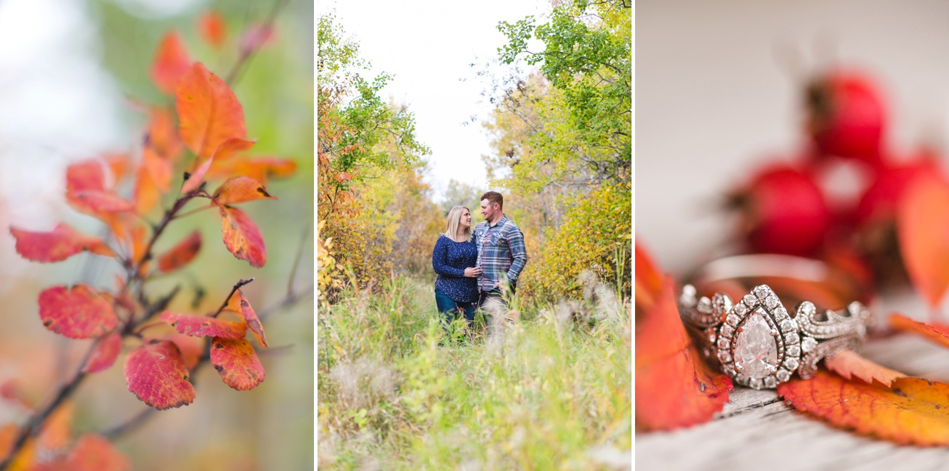 Fall Engagement Session in the Arcola Hills