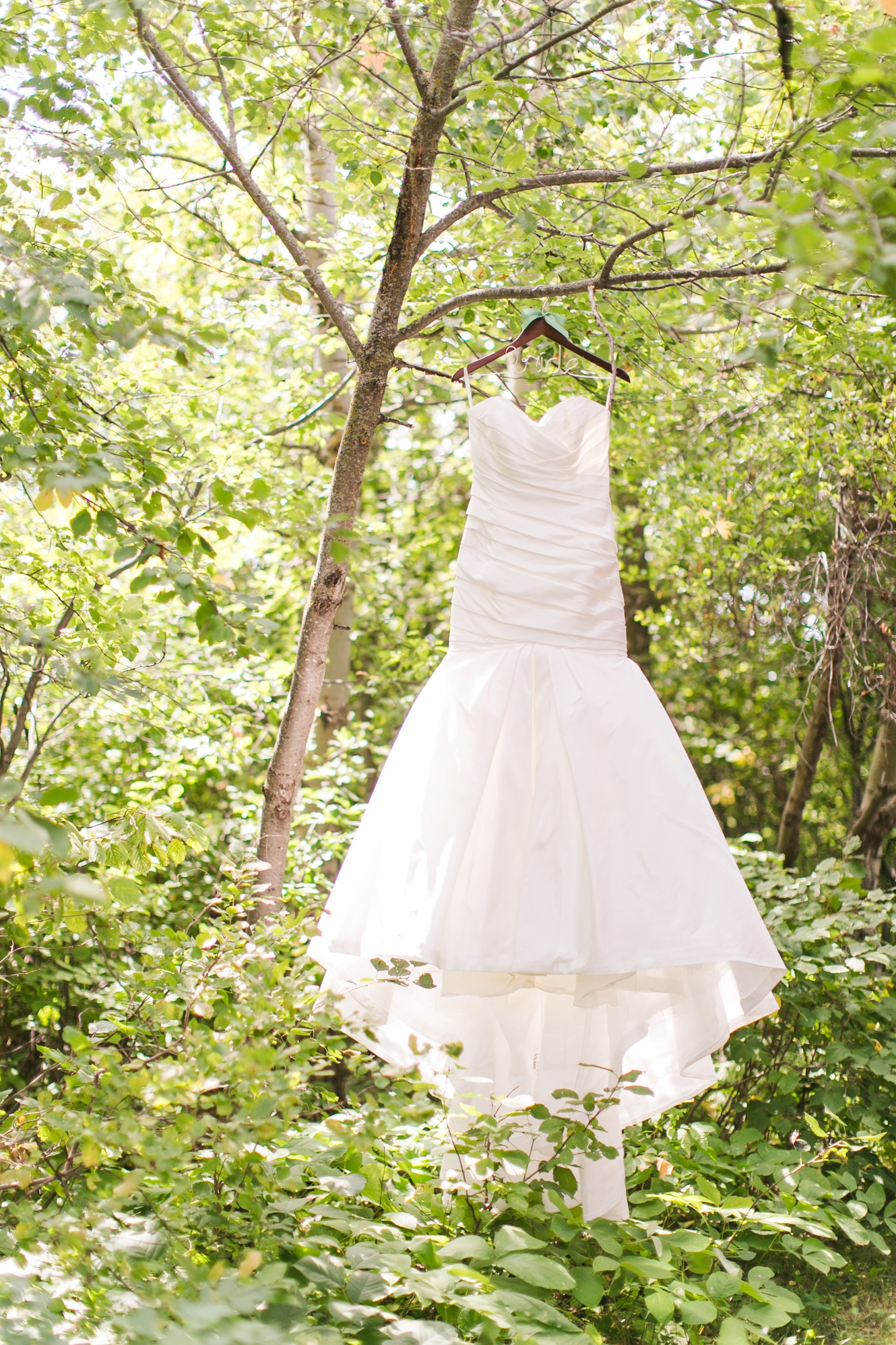 wedding gown hanging in a tree photo