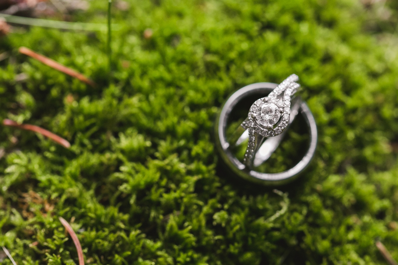 ring shot in moss photo