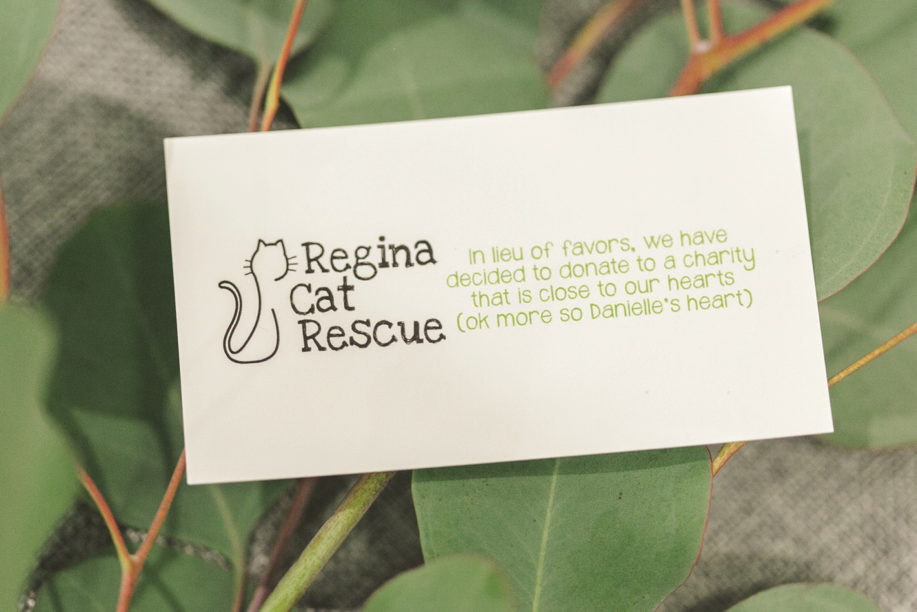 Regin Cat rescue charity photo