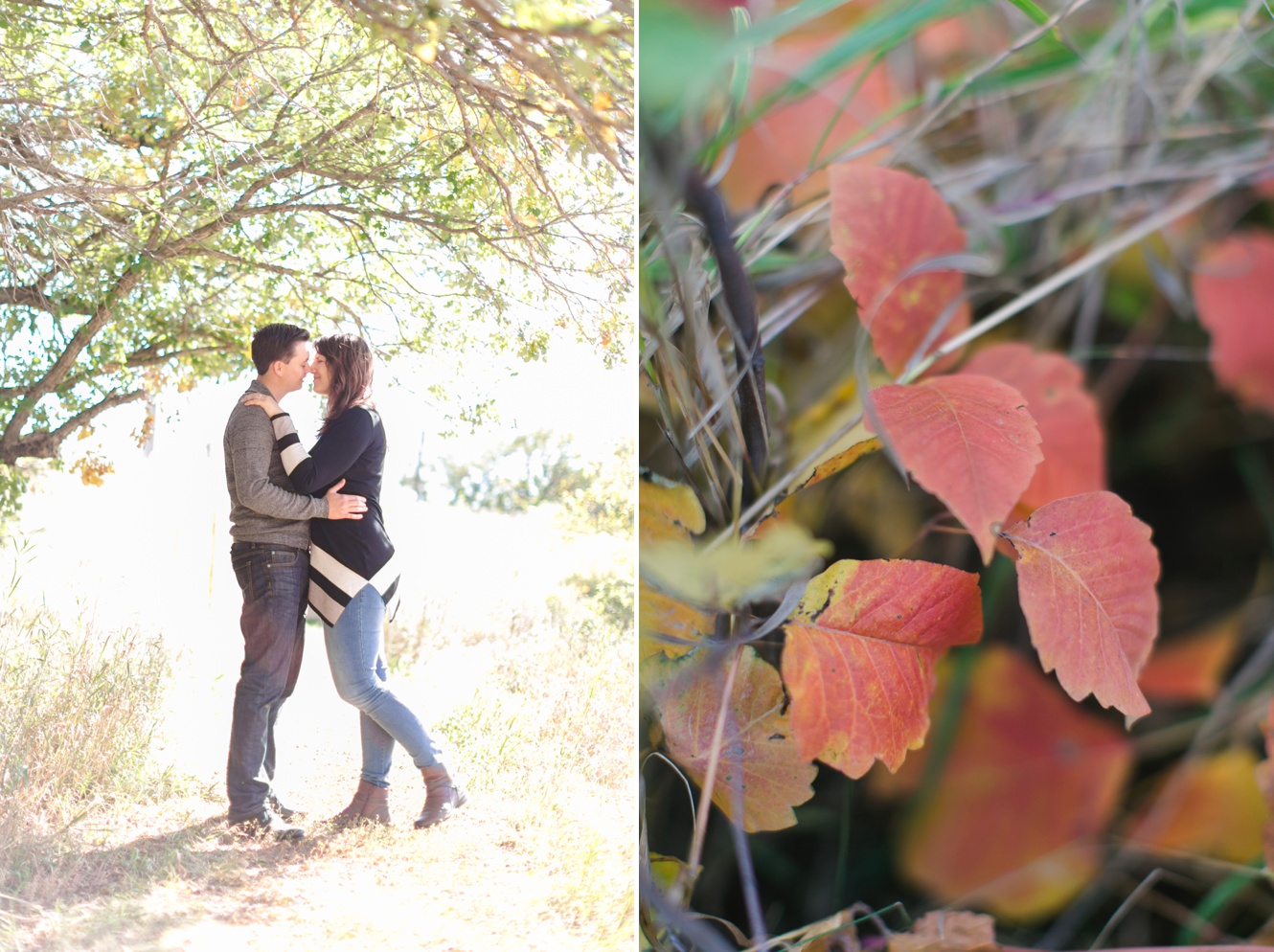 Oxbow Engagement Session