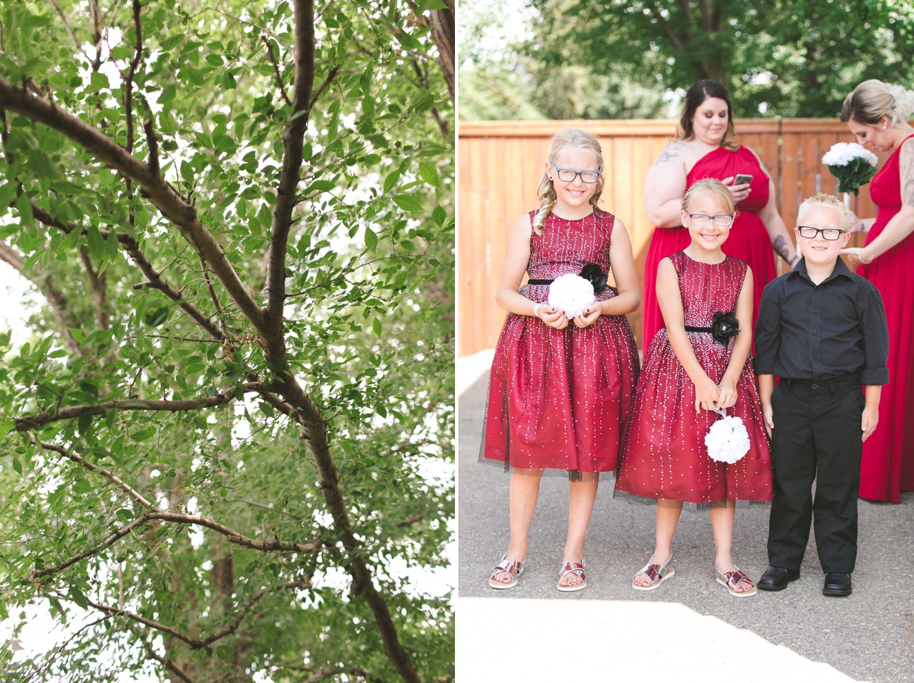 Intimate Backyard Summer Wedding in Banff Alberta photo