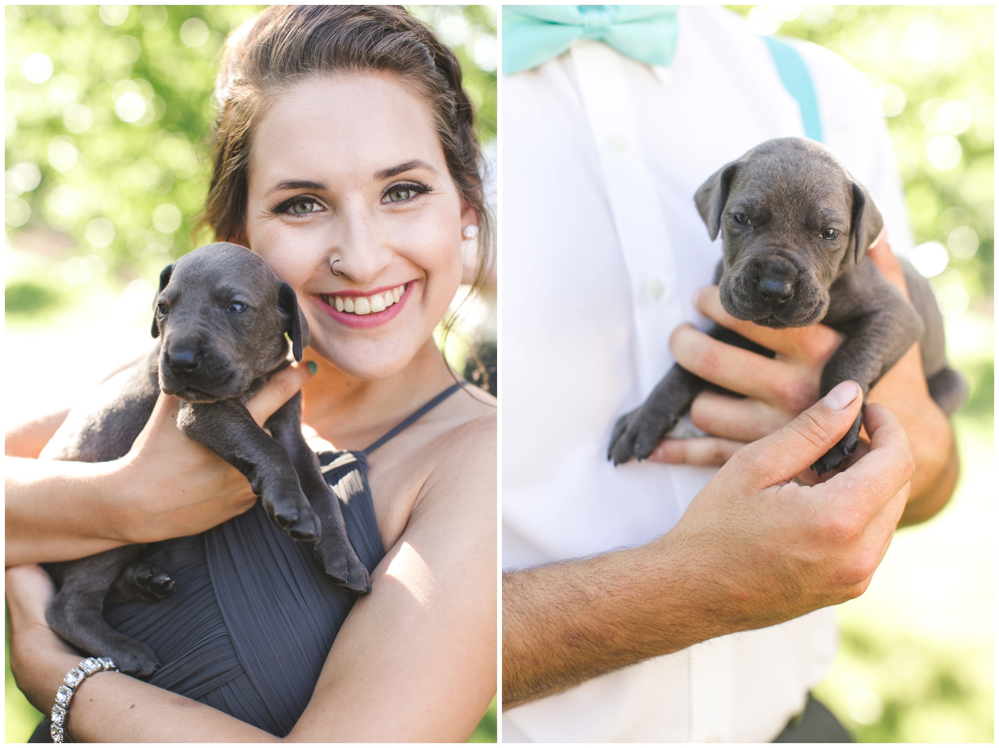 Bridal party holds puppies instead of bouquets photo