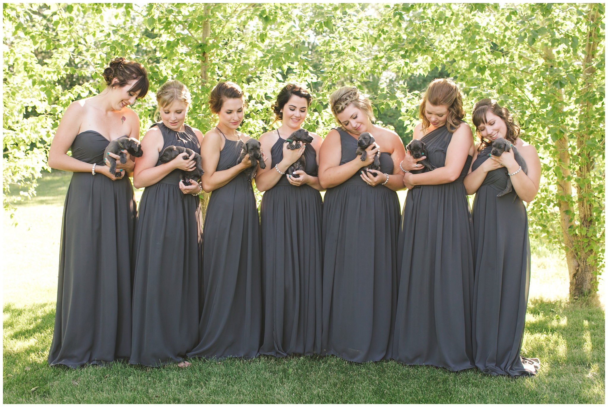 Bridesmaids holding grey puppies photo