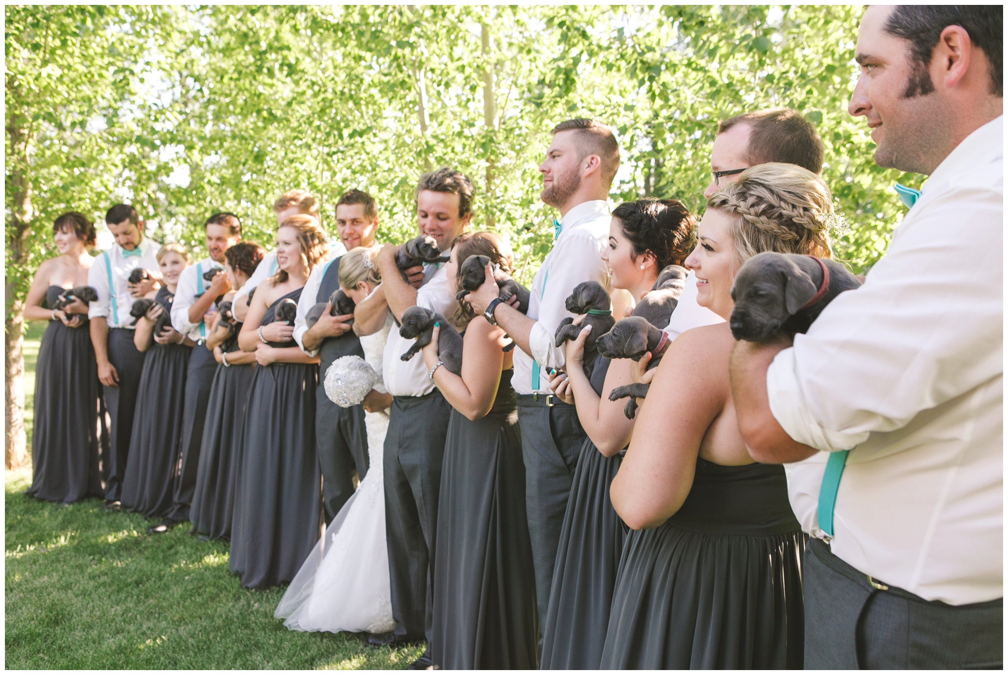 Bridal party holding puppies photo