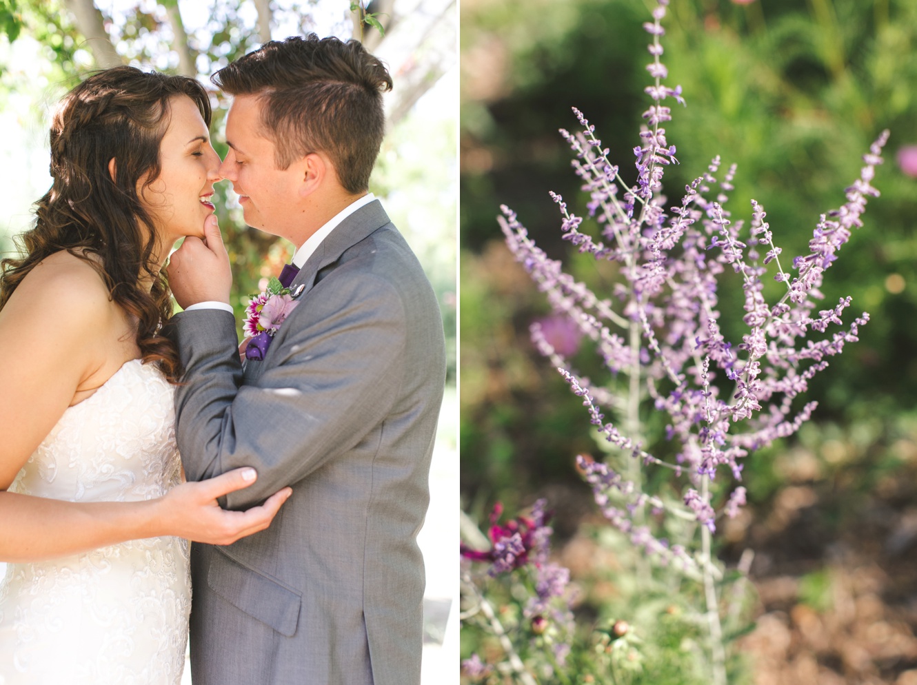Lavender summer wedding photo