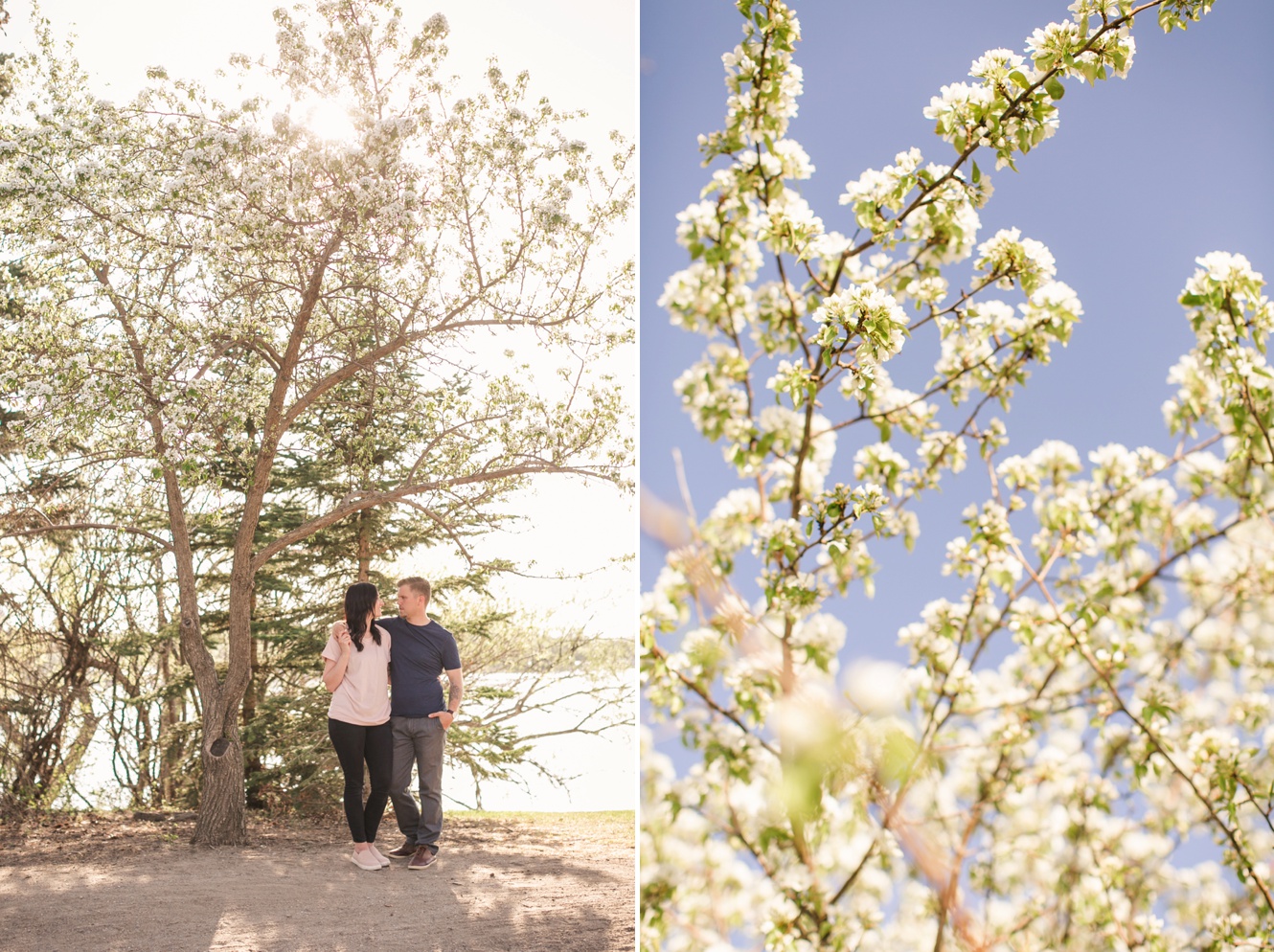 Spring blossom engagement session photo