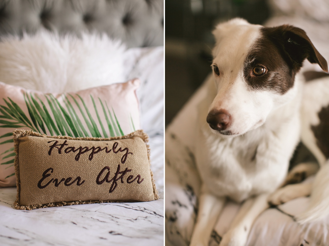 Intimate and cozy in home couples photo session dog photo