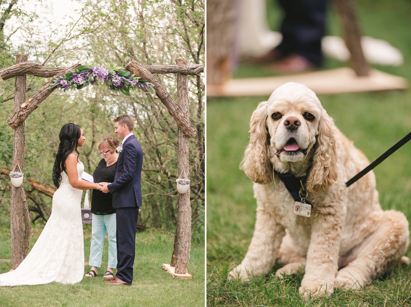 How to include your pet in your wedding day photo