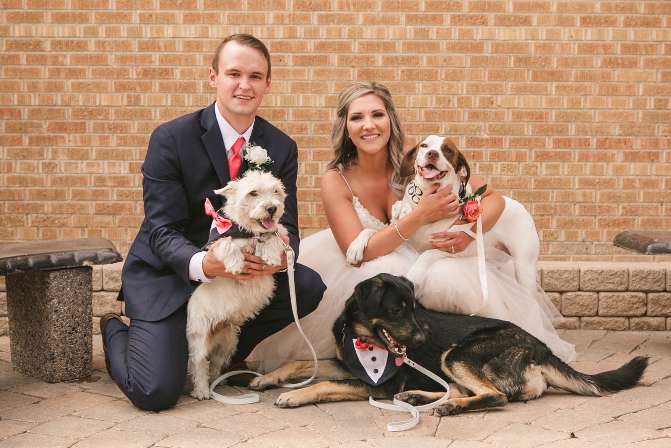 Tips for dogs at weddings photo