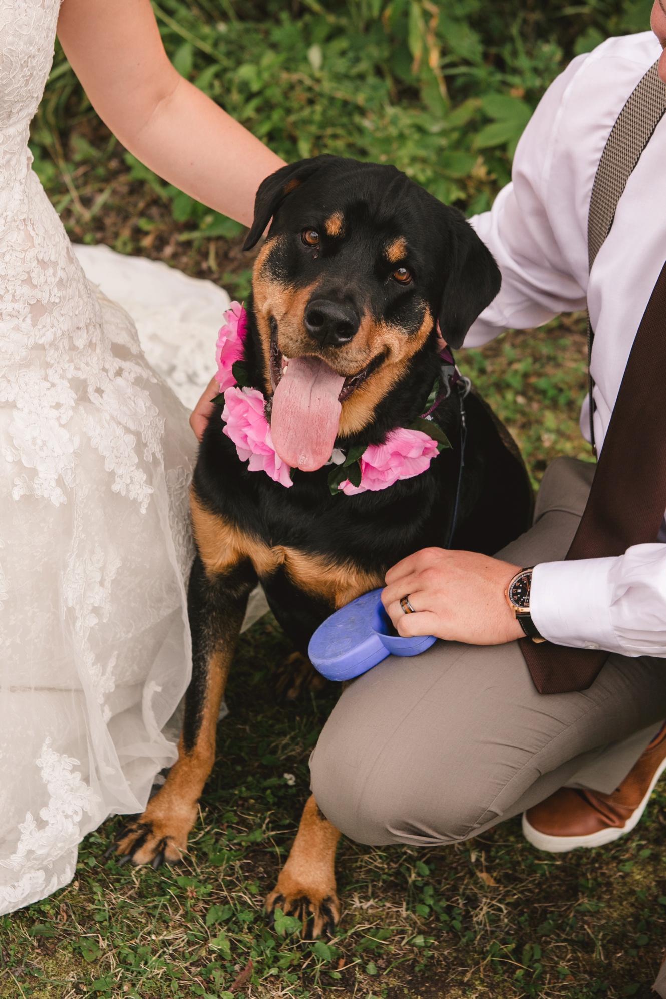 Dog in wedding photo