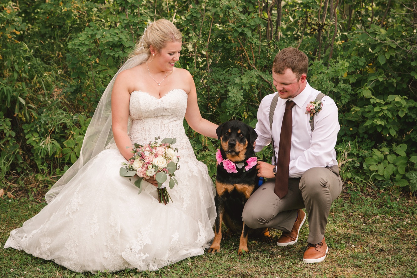 Bring your dog to your wedding photo