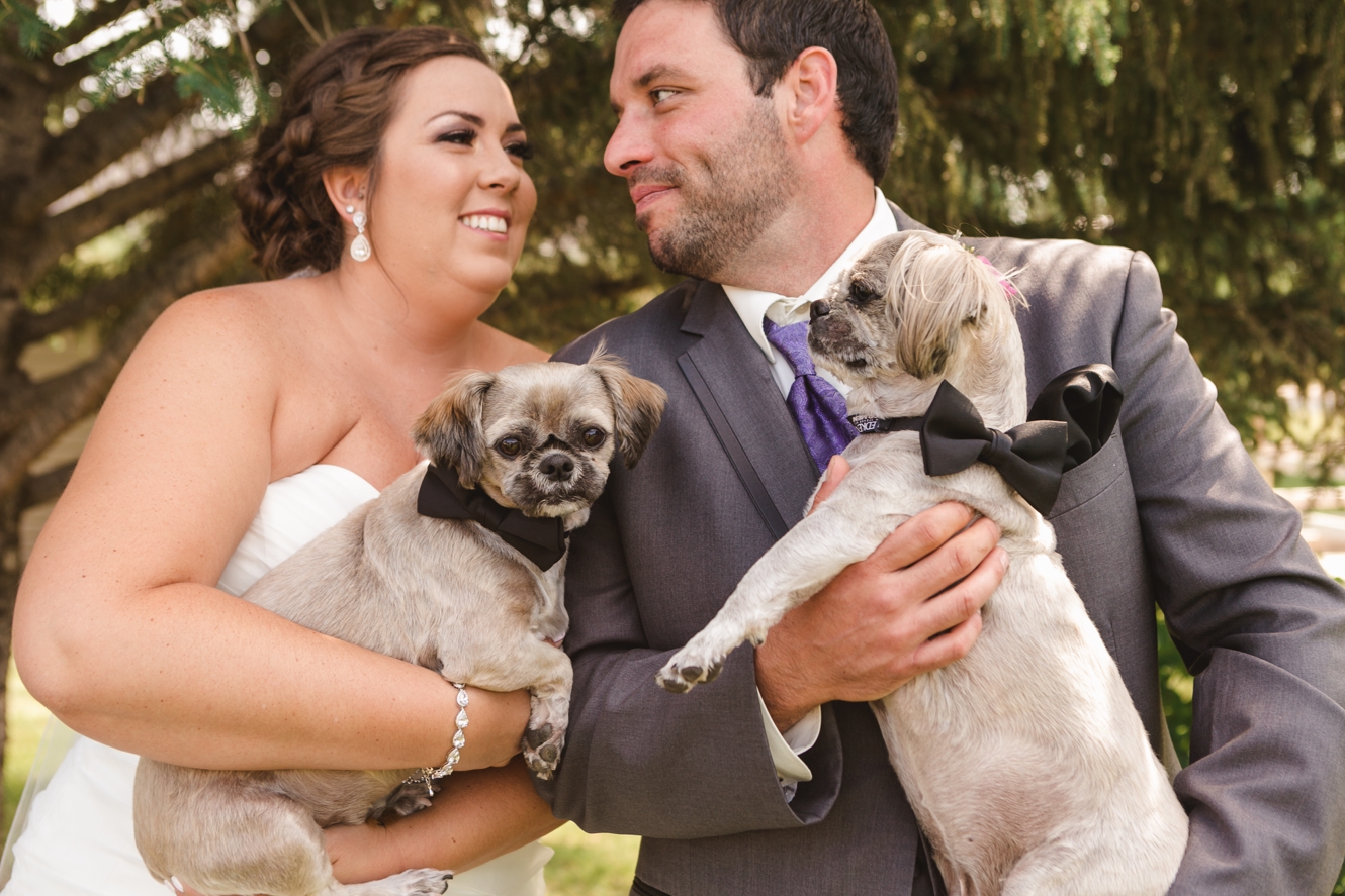 Pets at wedding photo