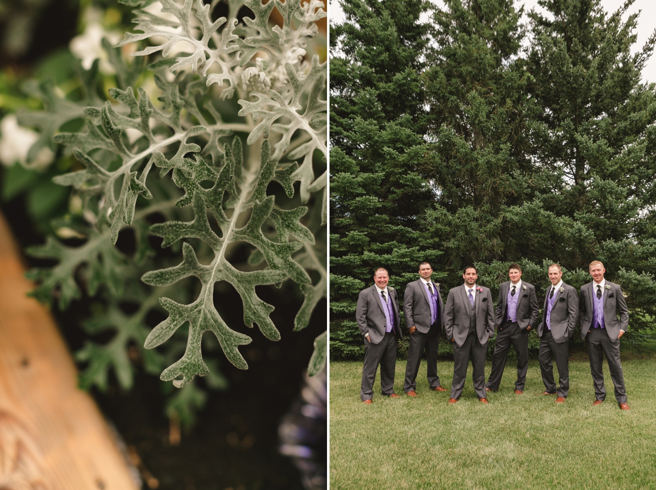 Canmore summer wedding