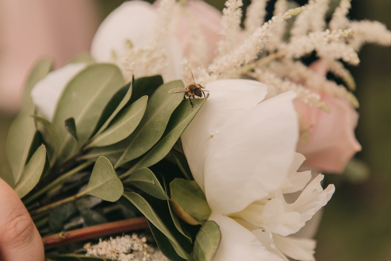 bumble bee in brides bouquet photo
