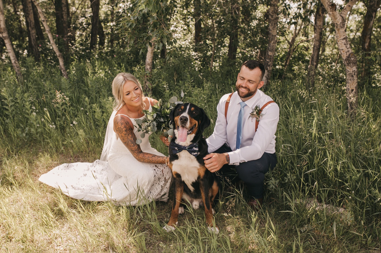 tips for bringing your pets to your wedding