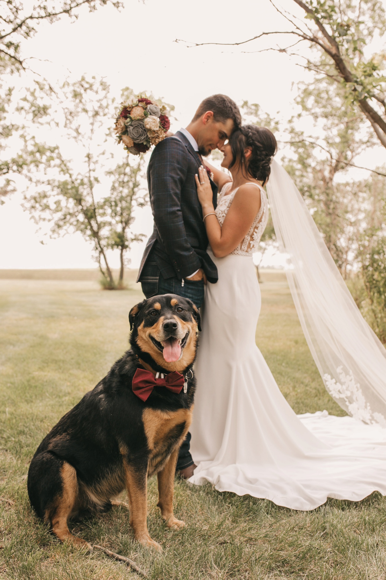 how to include your dog on wedding day photo