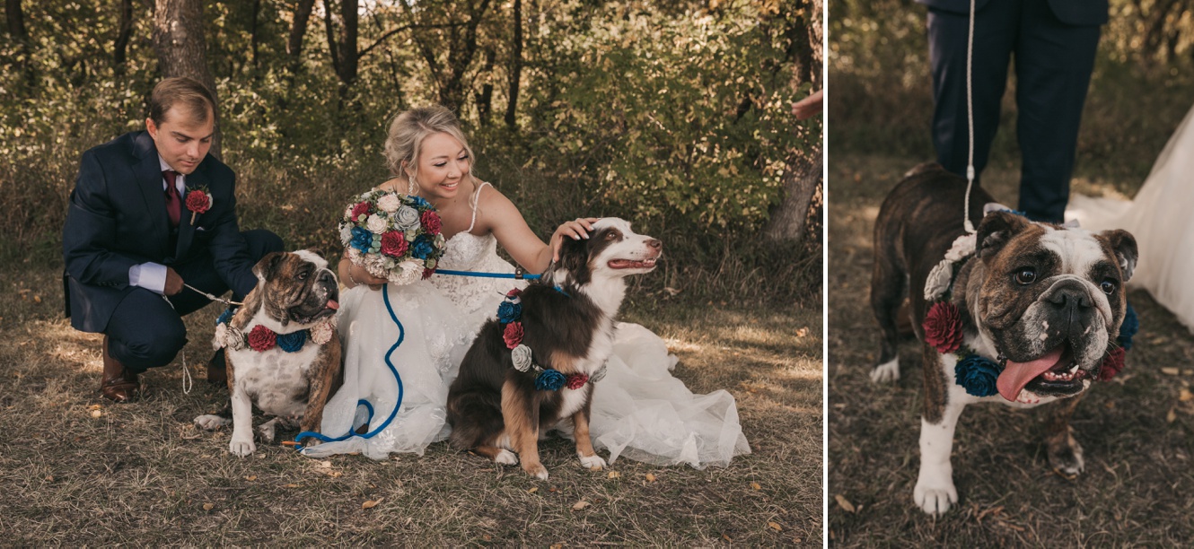 Fall Wedding Ceremony at Boundary Dam featuring a Confetti Exit and a Cute Cameo From the Couple’s Bulldog