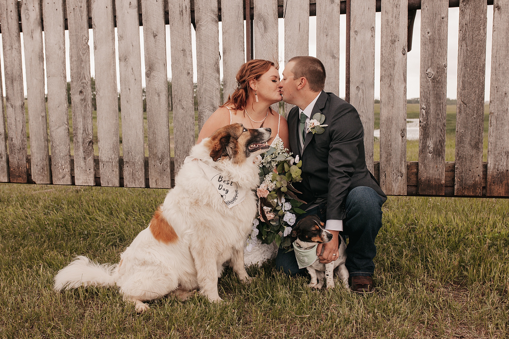 farm wedding with dogs photo