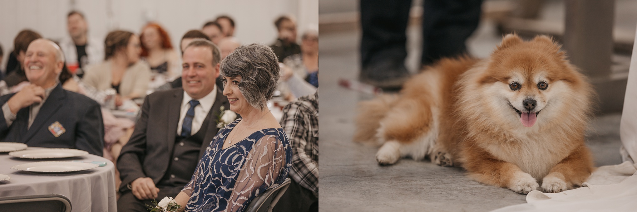 How to incorporate your pet at wedding