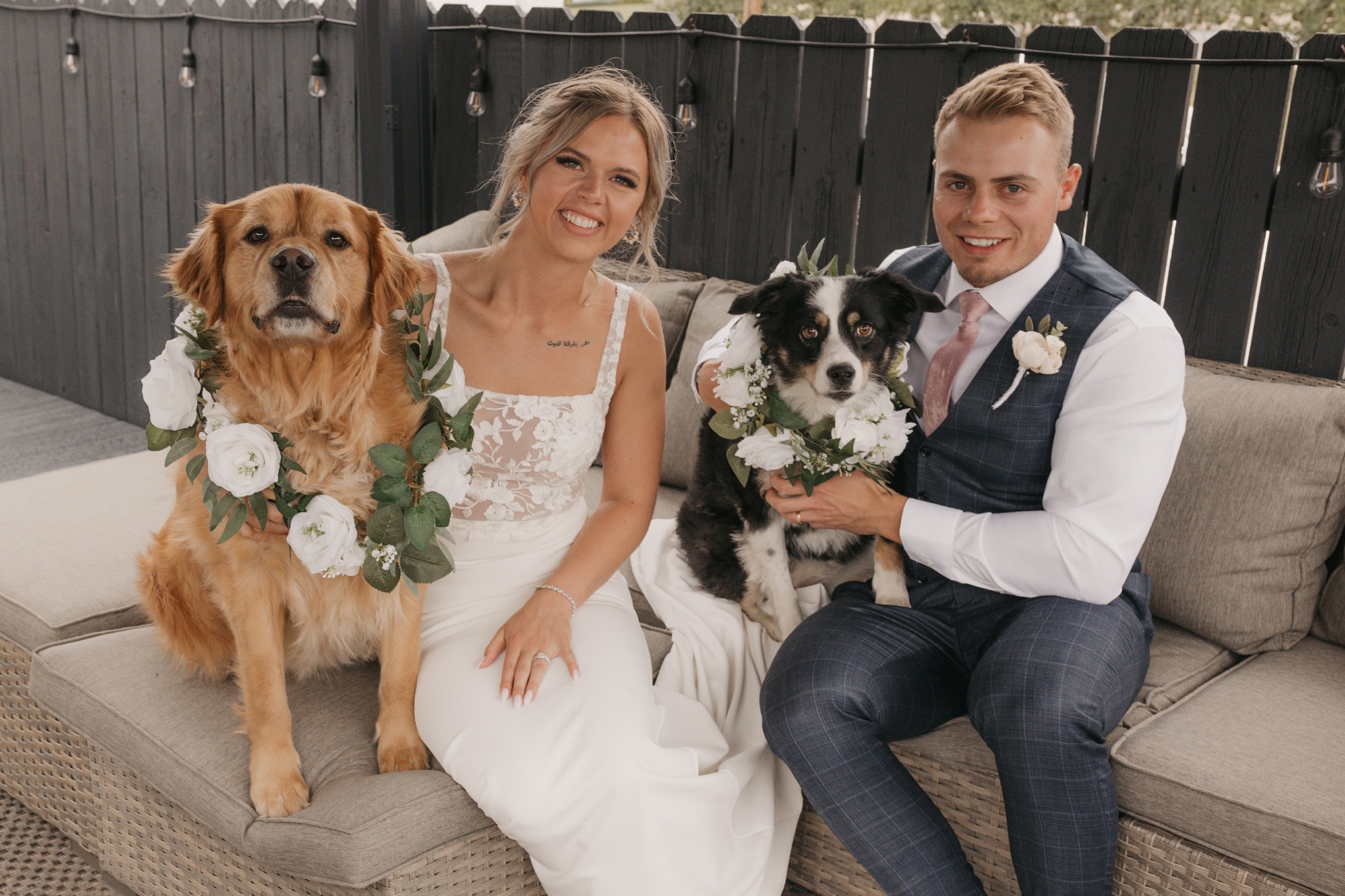 bride and groom with dogs photo
