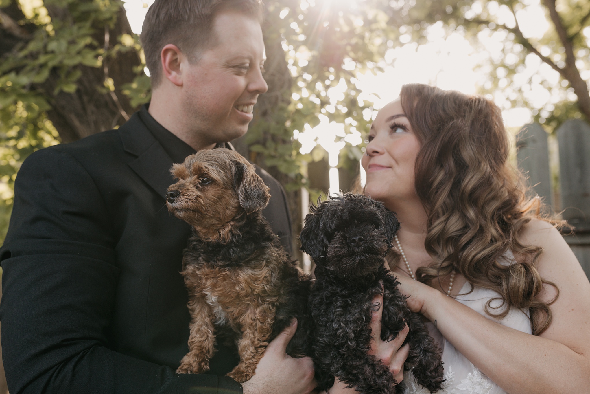 Bride and groom wedding photo with dogs