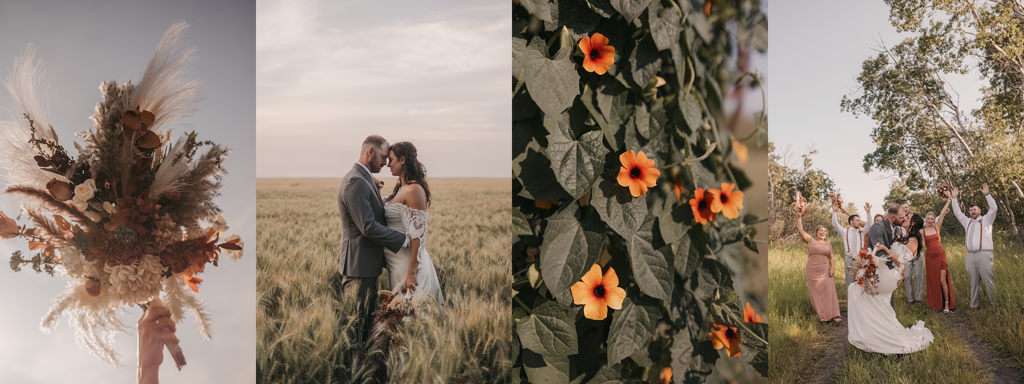 Prairie Wedding Celebration Near Broadview