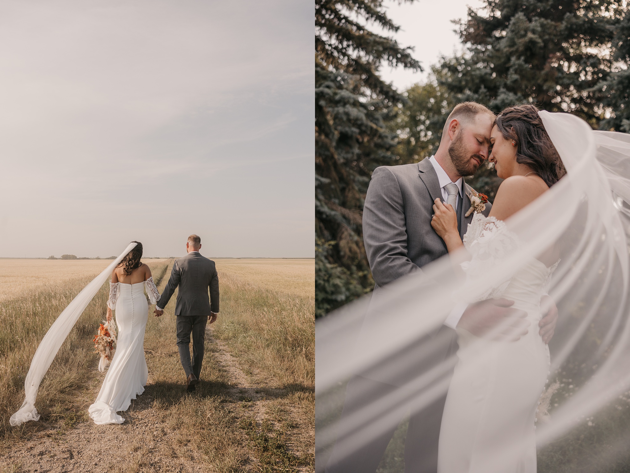 Broadview Wedding Photographer